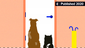 Cara Mengurangi Kecemasan Pada Hewan Peliharaan