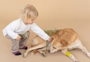 Hal yang Harus Diperhatikan Jika Beniat Memiliki Peliharaan